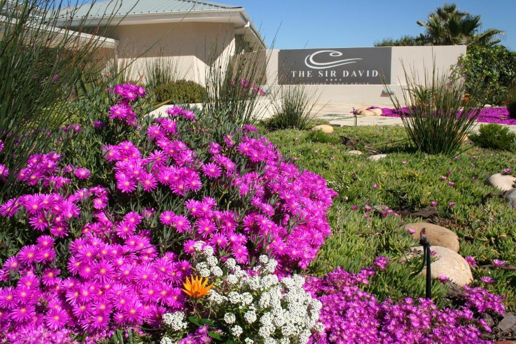 The Sir David Boutique Guest House Bloubergstrand Exterior foto